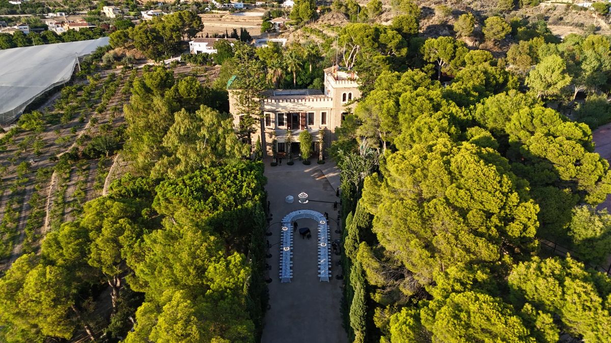 Top-down aerial of a villa estate with a cypress-lined approach drive